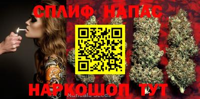 mdma Белореченск